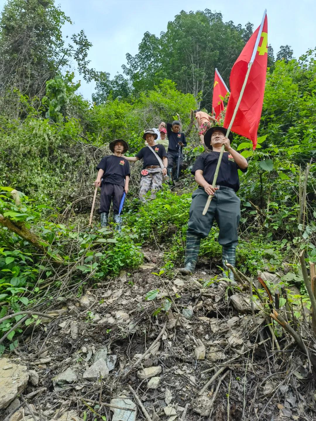 南卡最新疫情下的隱秘寶藏，小巷特色小店抗疫風采