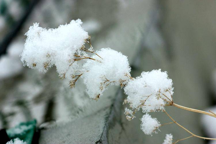 雪落錦最新觀點(diǎn)闡述