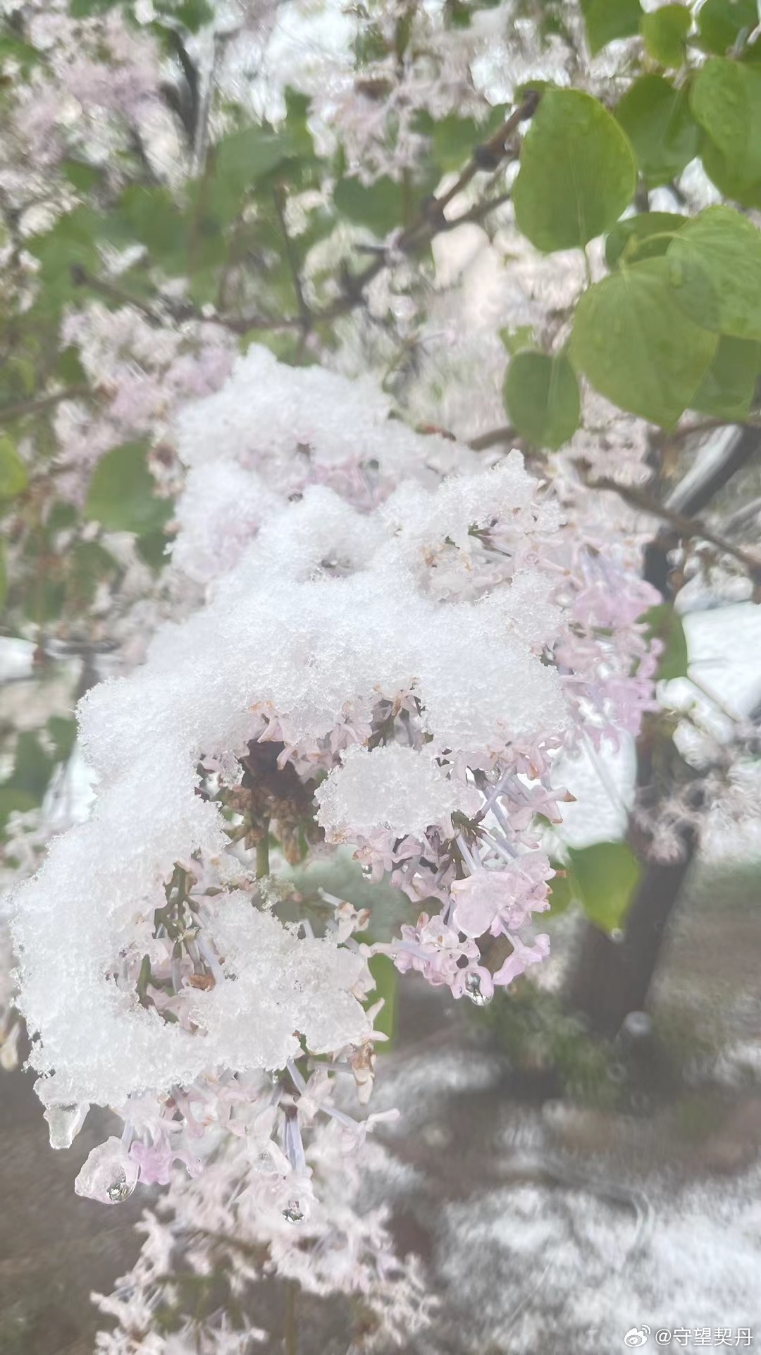 雪落錦最新觀點(diǎn)闡述