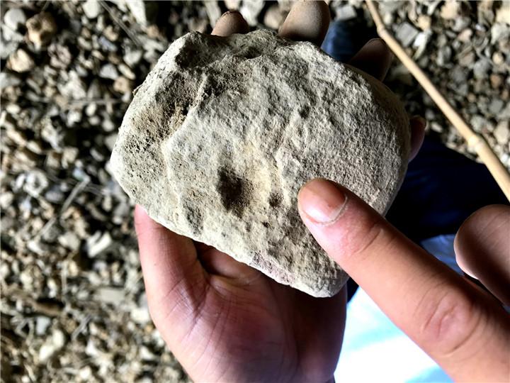 小吉場(chǎng)最新,小吉場(chǎng)最新，如何完成某項(xiàng)任務(wù)或?qū)W習(xí)某種技能的詳細(xì)步驟指南