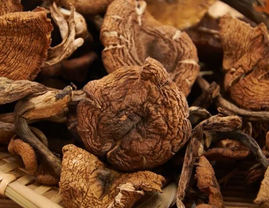 榛蘑最新種植，探索自然之旅，尋找內(nèi)心平靜之道