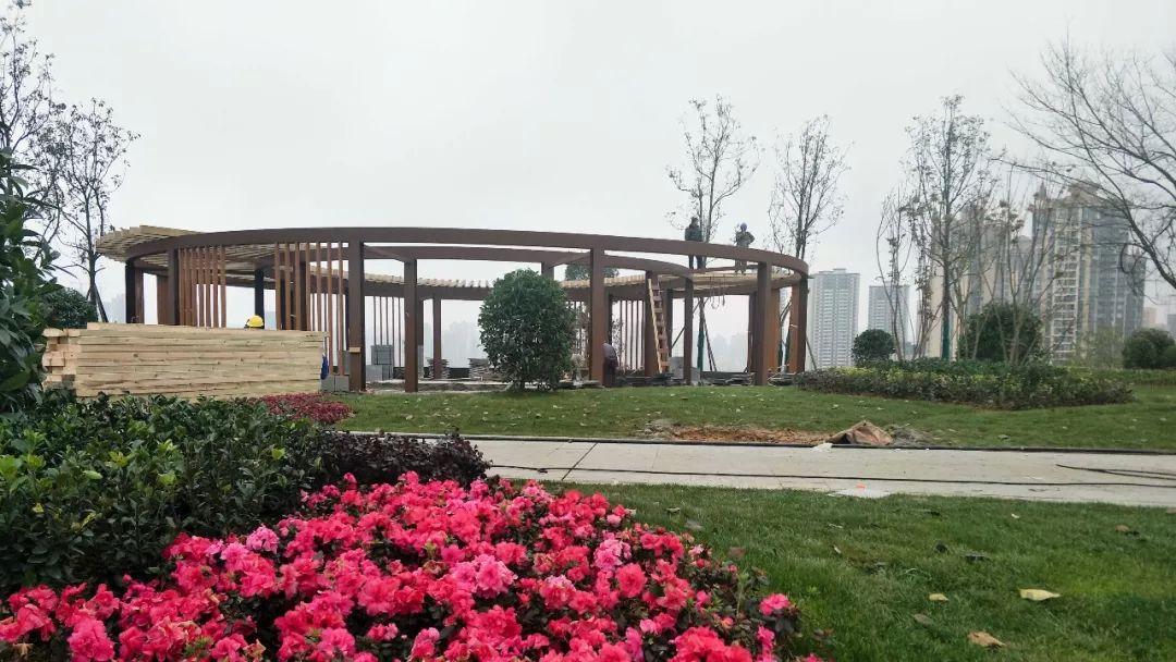 南充最新動(dòng)態(tài)，溫馨有趣的日常故事