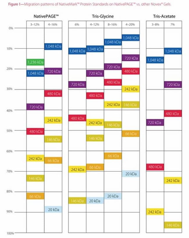 王中王72396.cσm.72326查詢精選16碼一,土木工程_競技版88.318