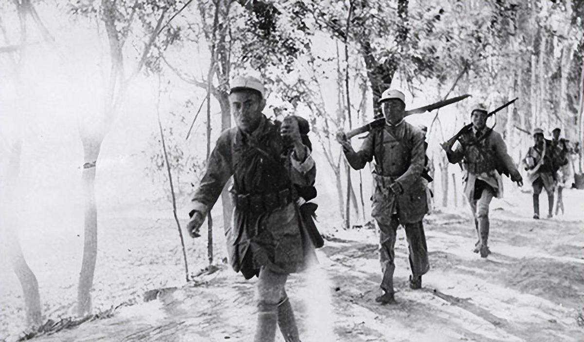 戰(zhàn)爭(zhēng)電視劇最新,戰(zhàn)爭(zhēng)電視劇最新，一場(chǎng)探索自然美景的心靈之旅