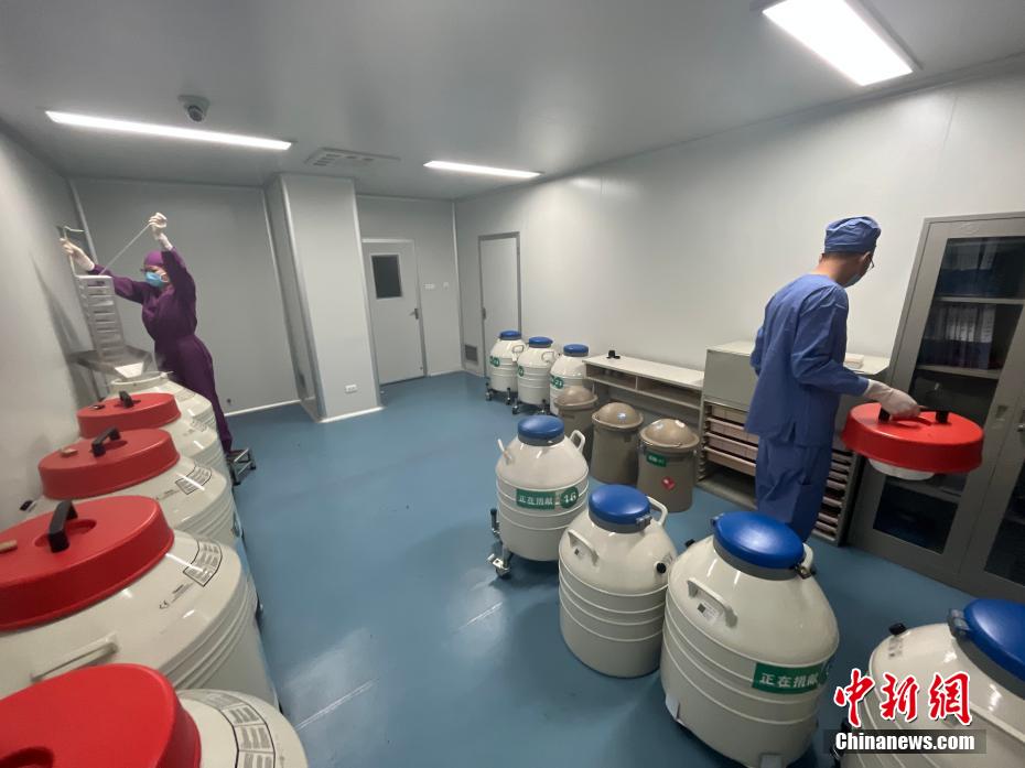 精子庫最新網(wǎng),精子庫最新網(wǎng)，小巷深處的獨(dú)特魅力