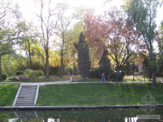 紫竹院最新動(dòng)態(tài)，自然美景的探索之旅