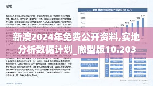 新澳2024年精準正版資料,實時分析處理_隨機版39.541
