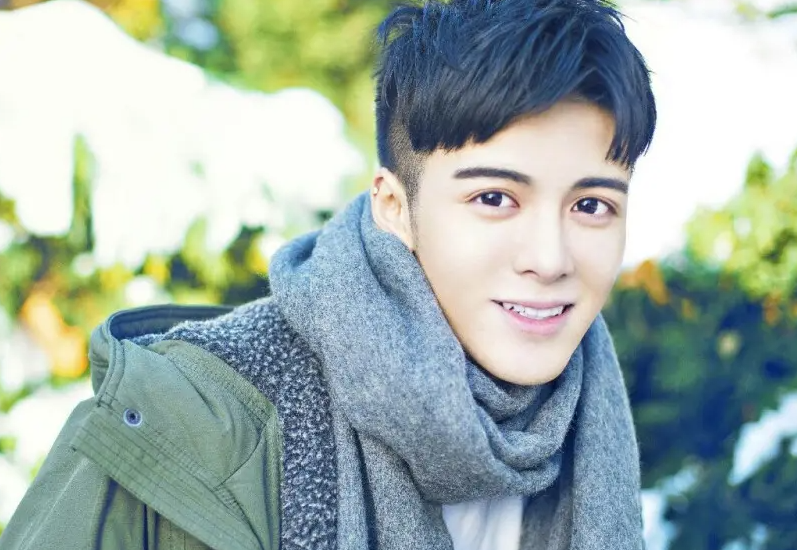 陸姓明星的成功秘訣，揭秘他們的勵(lì)志之路與秘訣學(xué)習(xí)之道