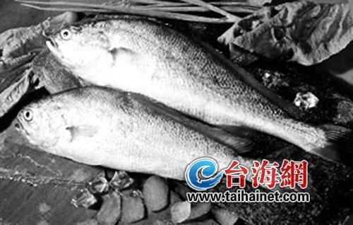 大黃魚價(jià)格飆升，躍居知識(shí)海洋中的魚王霸主地位