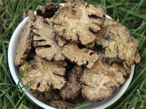 川芎最新行情詳解及市場動態(tài)獲取指南