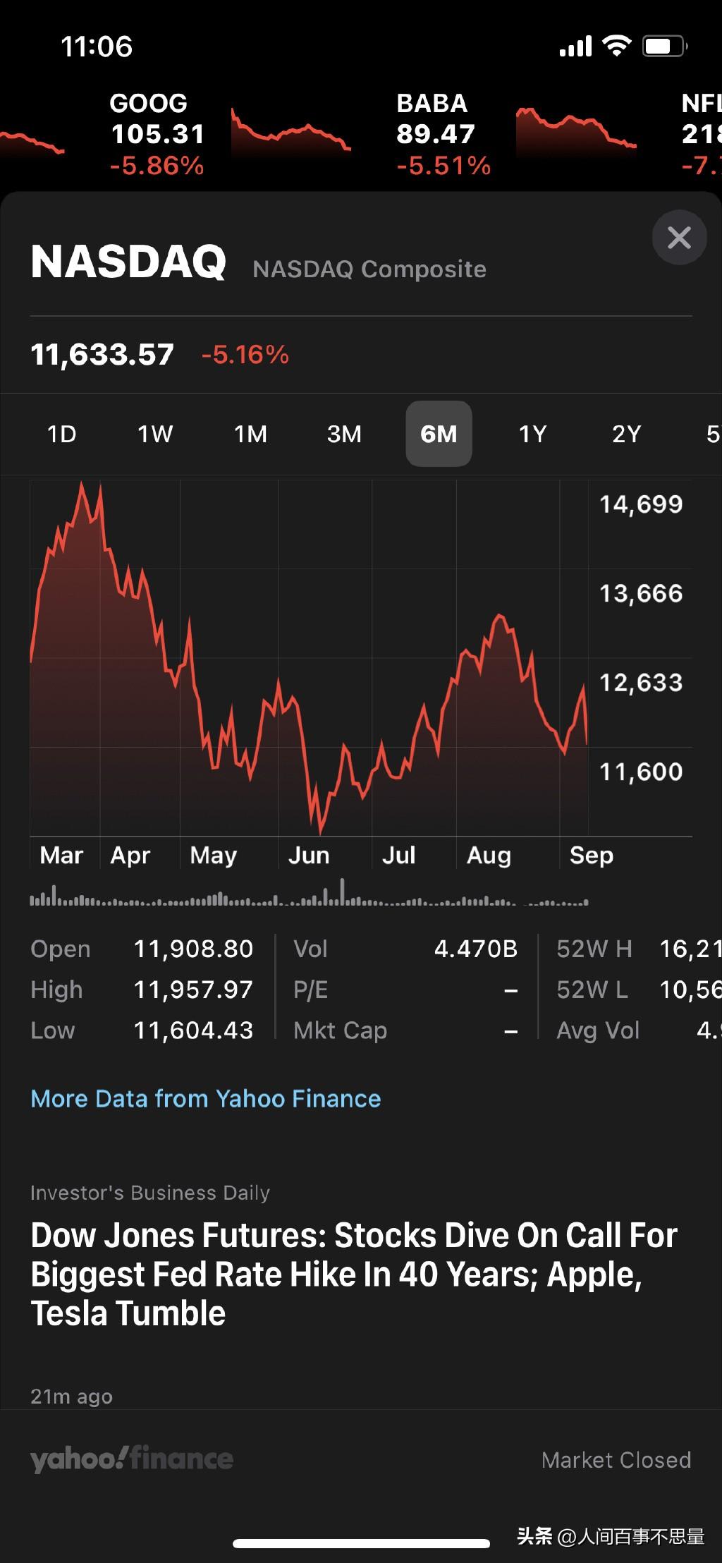 股票總市值與心靈探索之旅，自然的奧秘與股市的遠(yuǎn)行