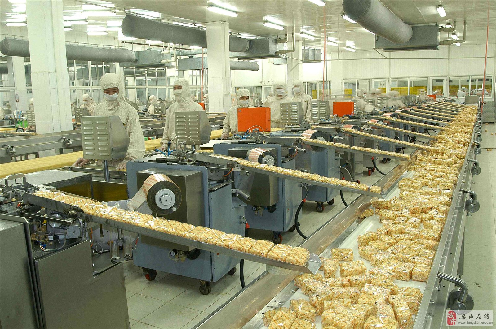 最新食品廠深度探秘，揭秘生產(chǎn)線的奧秘與美食的誕生過程