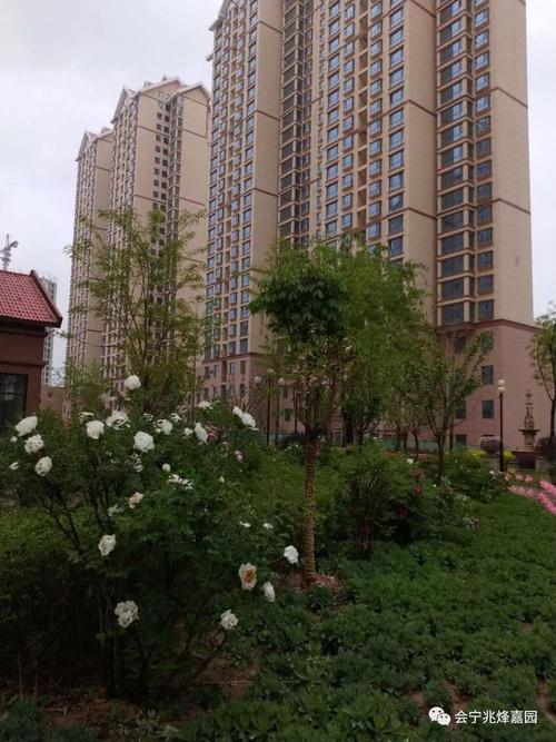 甘肅會寧最新住宅價格概覽及趨勢分析