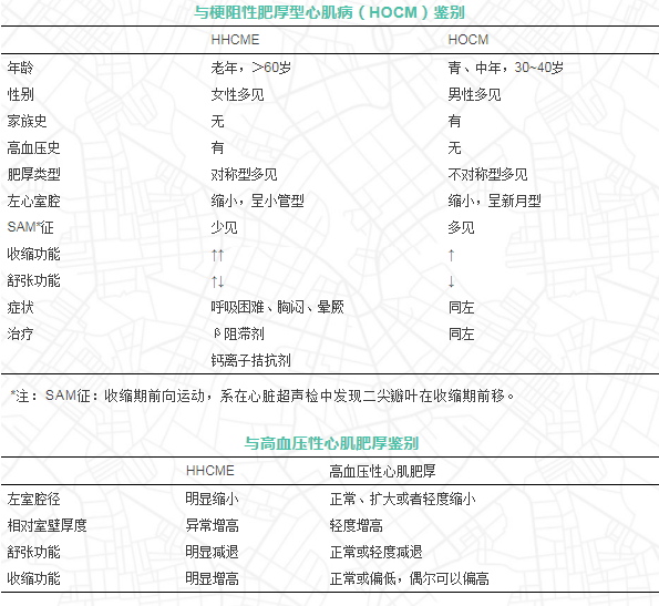 肥厚型心肌病最新治療進(jìn)展研究綜述