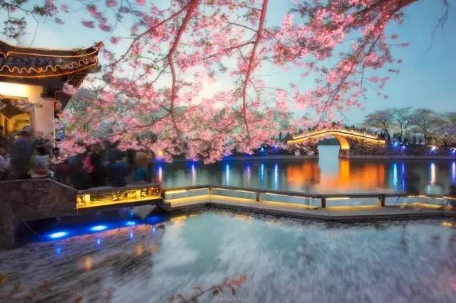 江蘇免費(fèi)景點(diǎn)攻略大全全解析