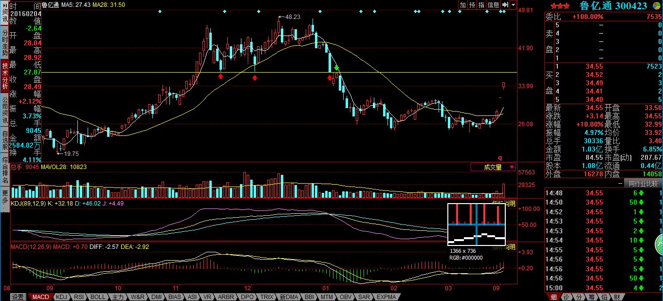 魯億通股票行情深度解析與走勢(shì)預(yù)測(cè)