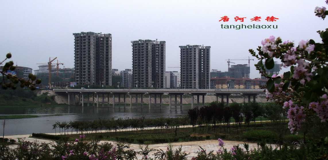 唐河貼吧最新資訊1,唐河貼吧最新資訊1，觀點論述