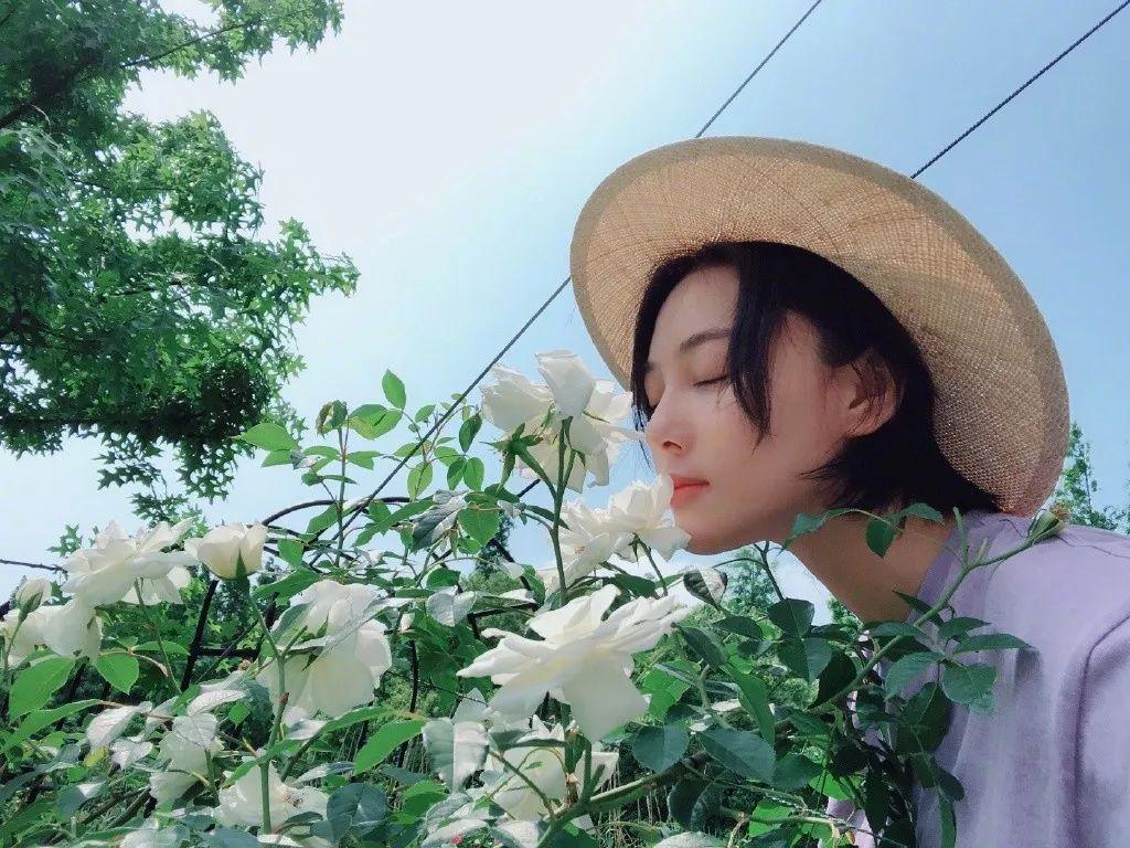 鍋碗瓢盆間的溫暖家園，尋找做飯阿姨，最新招聘信息與招募故事