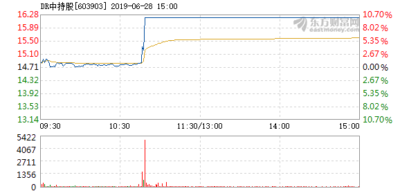 DR與dr股票解析，如何識(shí)別與投資的詳細(xì)步驟指南