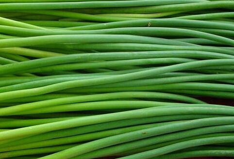 蒜薹行情解析，市場動態(tài)、商機把握與策略詳解