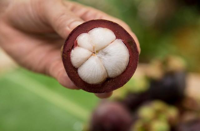 山竹價格行情,山竹情緣，一段關(guān)于價格與友情的溫馨故事