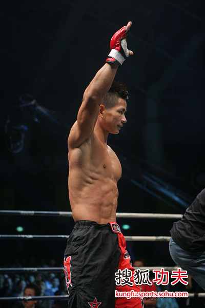 楊建平比賽視頻全集，傳奇的綜合格斗巨星之路