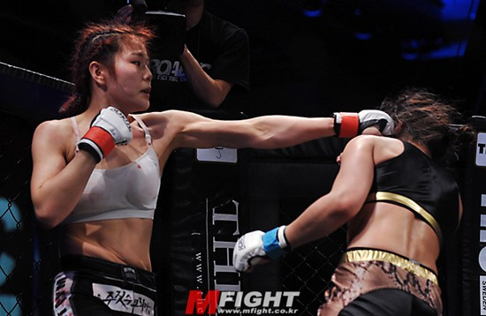 籠斗比賽，自然美景中的心靈激蕩之旅