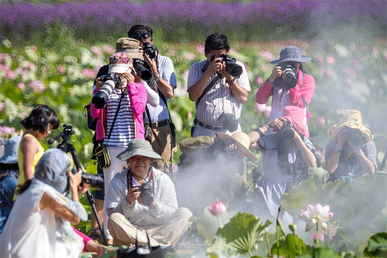 攝影比賽活動,攝影比賽活動，一場自然美景的探索之旅