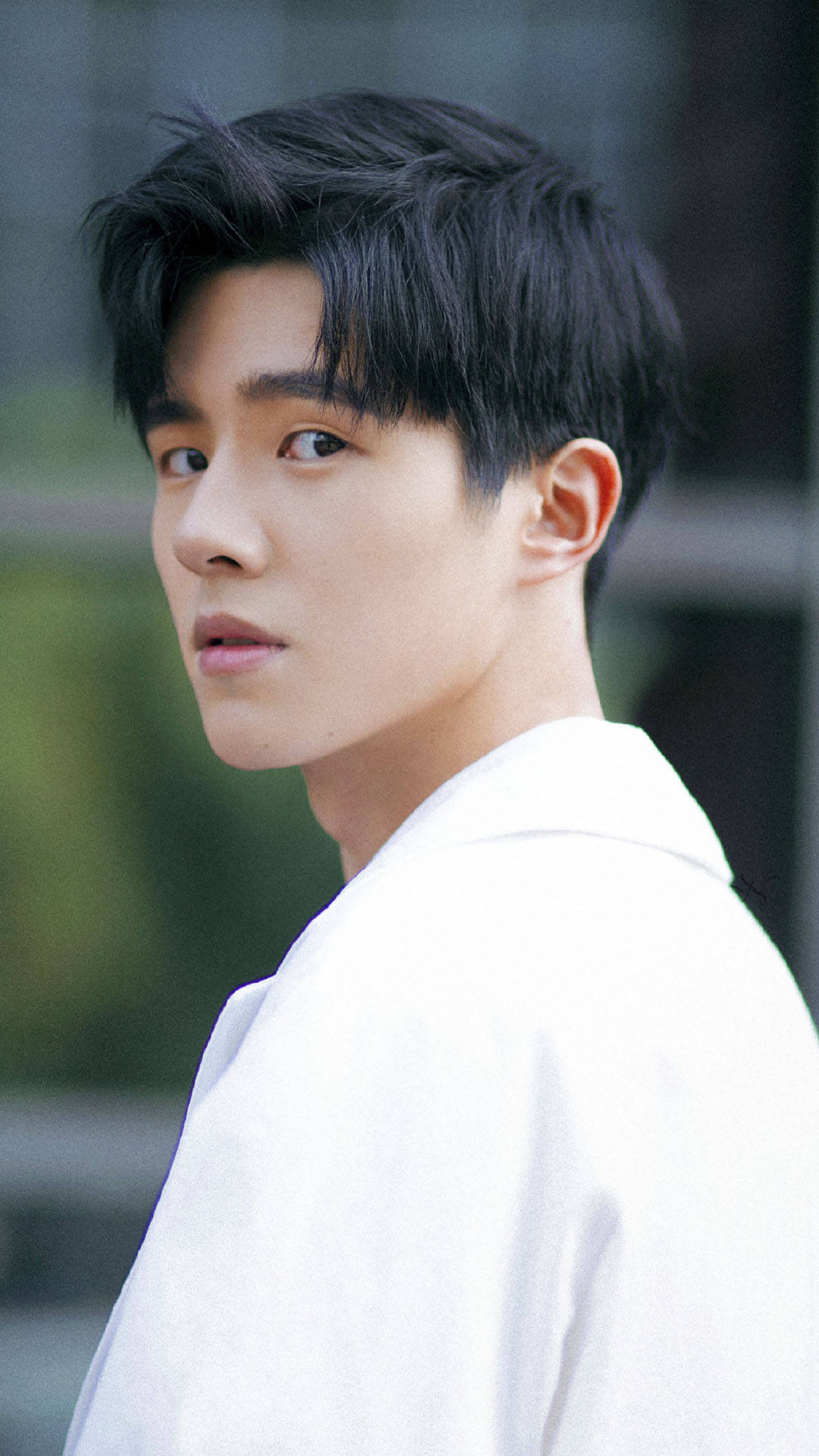 探尋明星名字男的無限魅力，星途閃耀的旅程