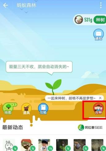 螞蟻森林綠色小探險(xiǎn)家的奇妙日常，今日最新問(wèn)題答案揭秘