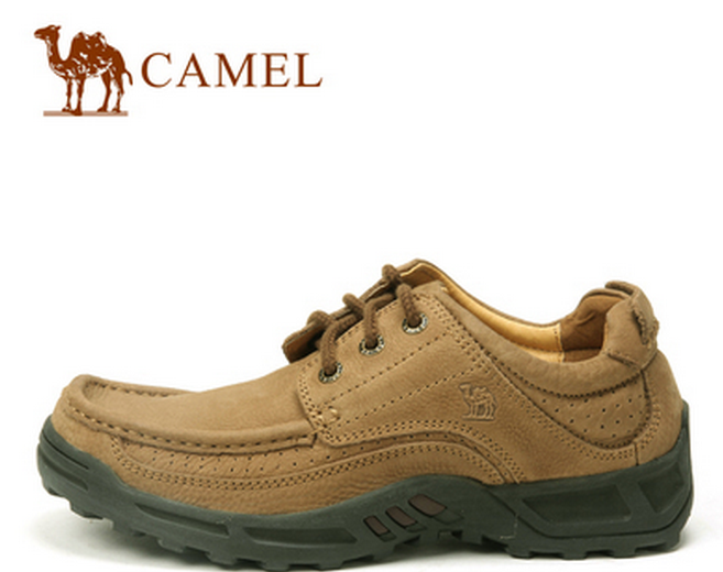 最新駱駝制品制作指南與時尚趨勢解析