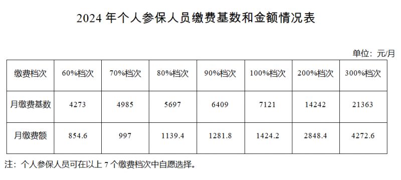 最新社保數(shù)據(jù)解讀，探尋內(nèi)心平和之旅，探索自然美景的旅程