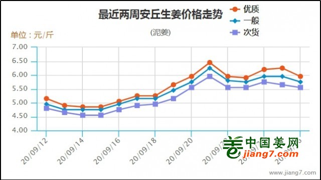 安丘今日大姜價(jià)格行情更新
