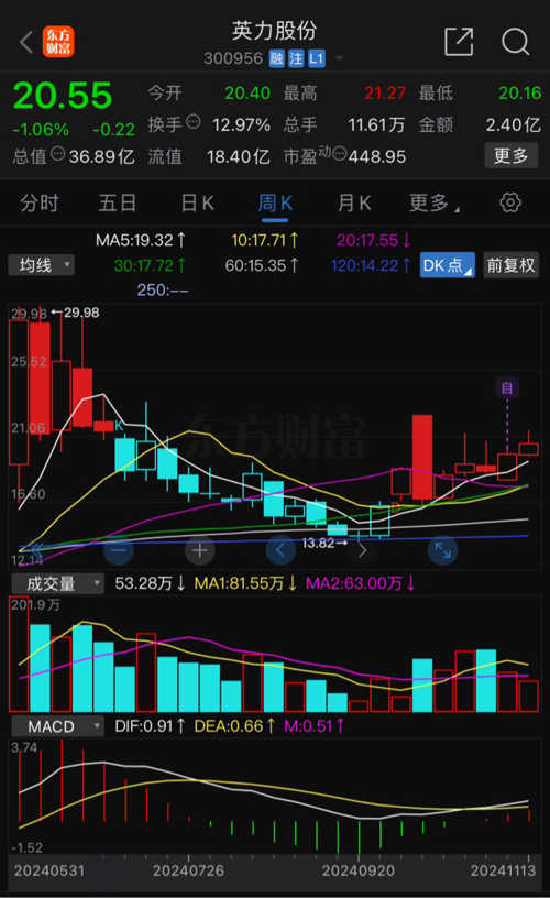 英力股票深度解析，挖掘投資價(jià)值