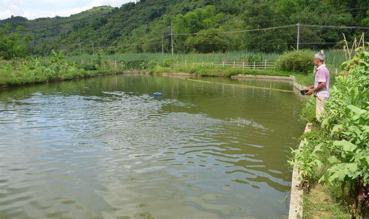 現(xiàn)代釣魚(yú)技巧深度解析