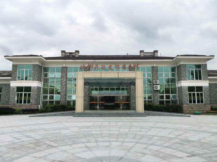 杭州疫情最新動(dòng)態(tài)與防疫進(jìn)展揭秘