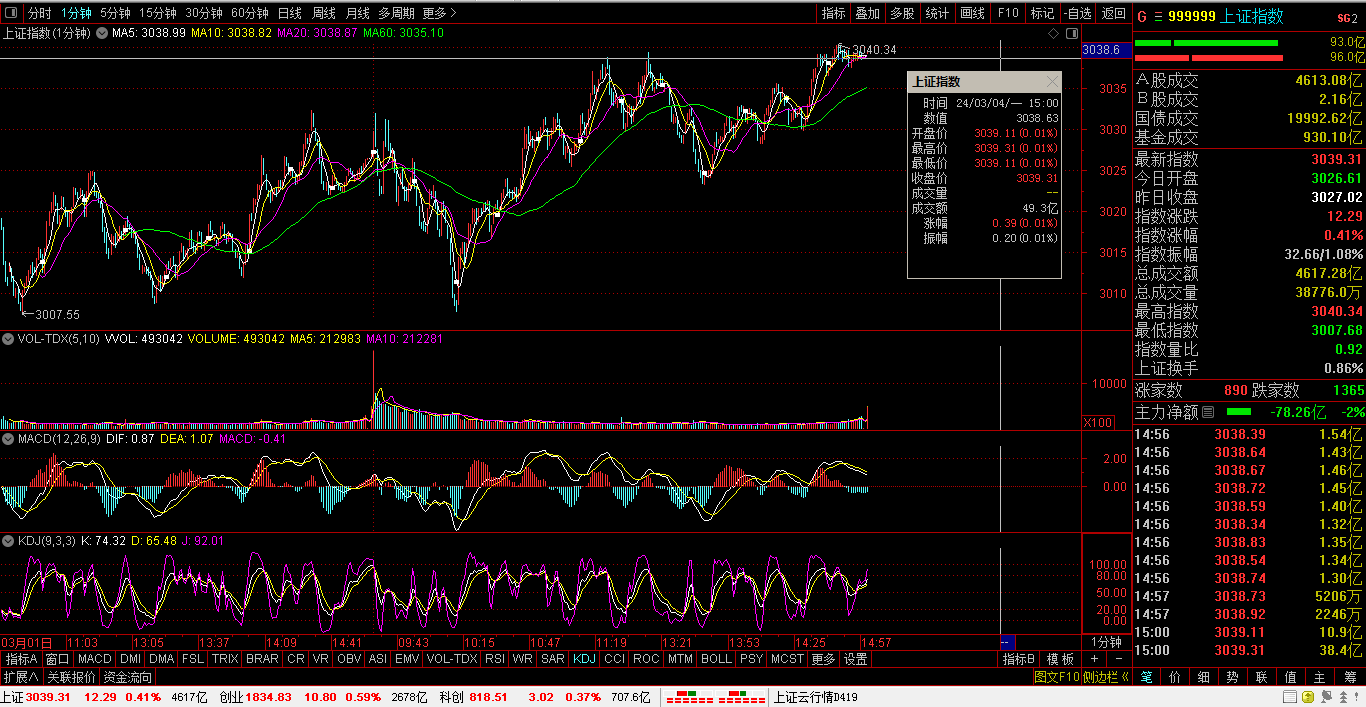 有棵樹股票，背景、歷程與地位的深度解析