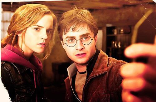 北美最新票房排行背后的溫馨故事