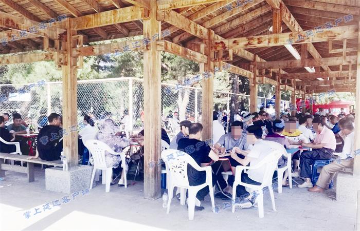 延吉新聞網(wǎng)，高科技產(chǎn)品重塑生活體驗，引領(lǐng)未來最新新聞速遞