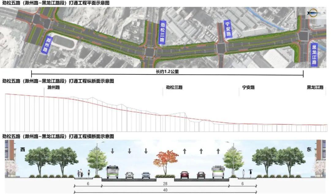 青島規(guī)劃圖最新版，自然美景探索之旅啟動
