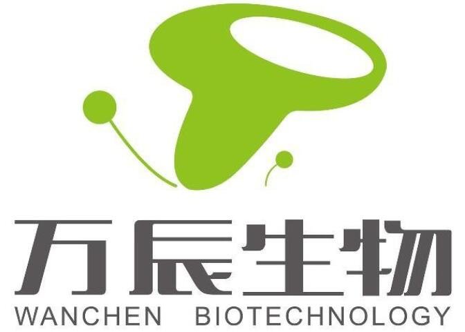 貝斯特上市日期揭秘，未來(lái)走向及市場(chǎng)預(yù)期分析