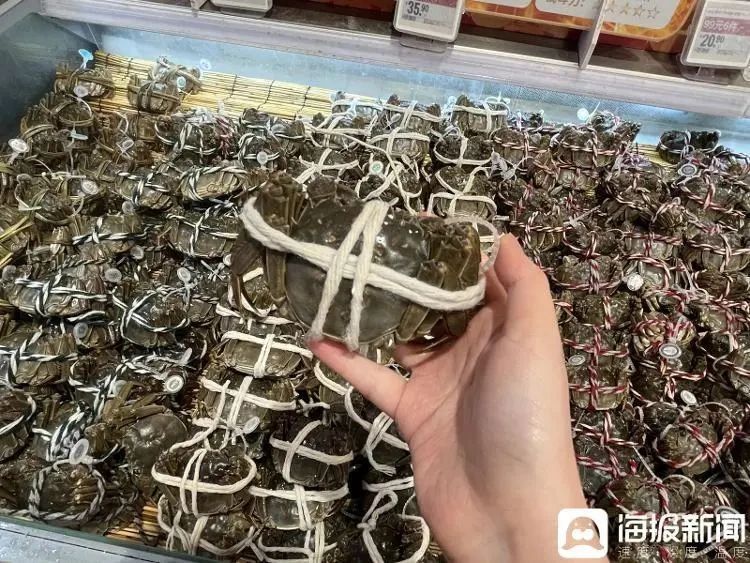 山東螃蟹價(jià)格最新動(dòng)態(tài)更新