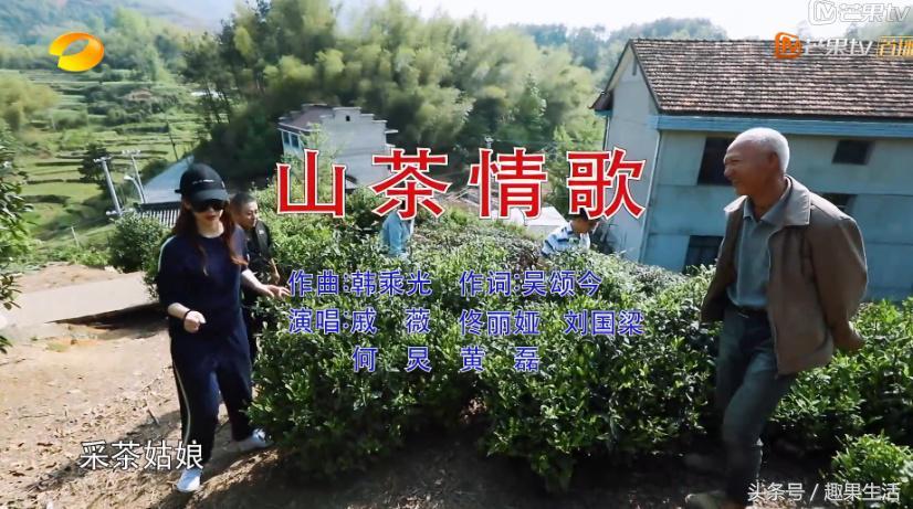 最新采茶歌，勵(lì)志旋律喚醒內(nèi)心力量，激發(fā)無限潛能