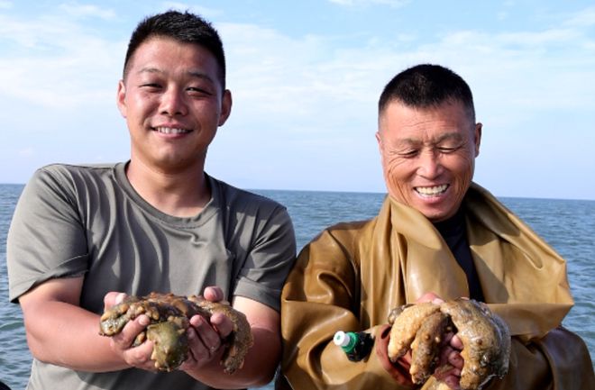 參德福海參價格深度解析