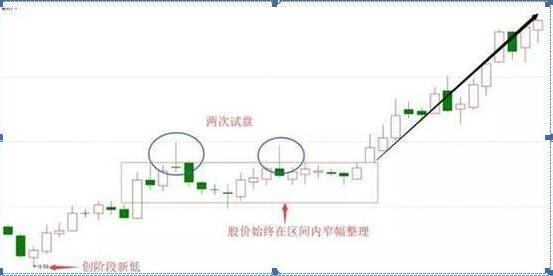 最新牛散持股信息查詢及其探討