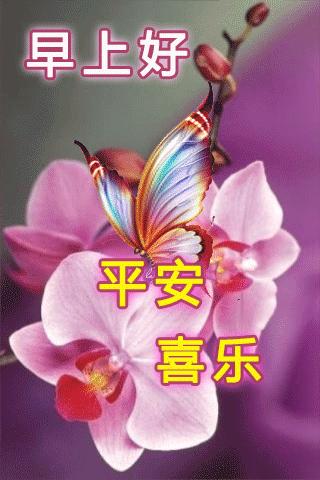 最新動態(tài)聚焦，前沿科技的深度探析