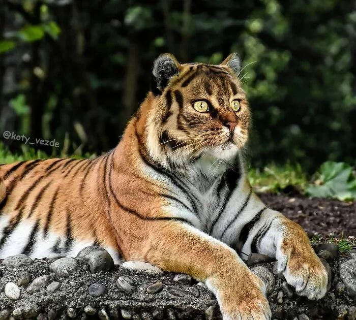 獨(dú)眼河馬逆流而上，學(xué)習(xí)變化鑄就自信與成就的新力作