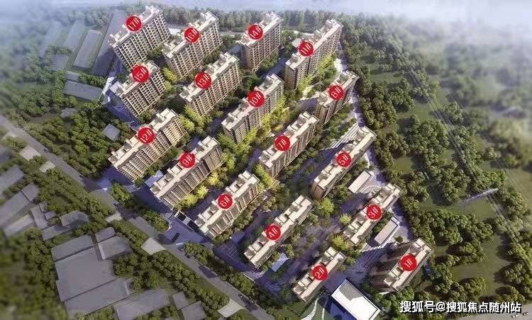 陳才強最新動態(tài)及觀點論述摘要