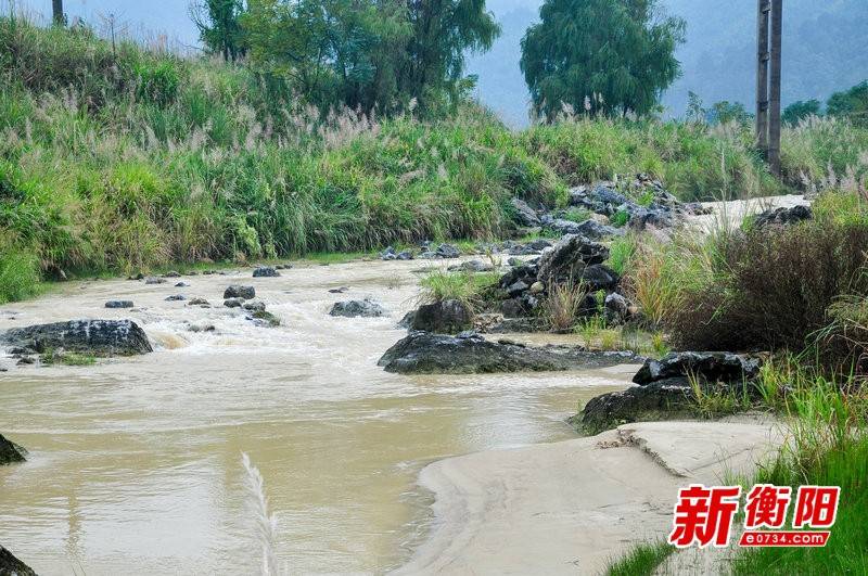 湖南常寧西嶺最新新聞，小巷深處的獨(dú)特風(fēng)味探索