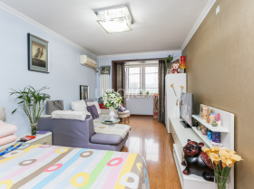 西平租房最新消息與個(gè)人探秘小巷深處的特色小店